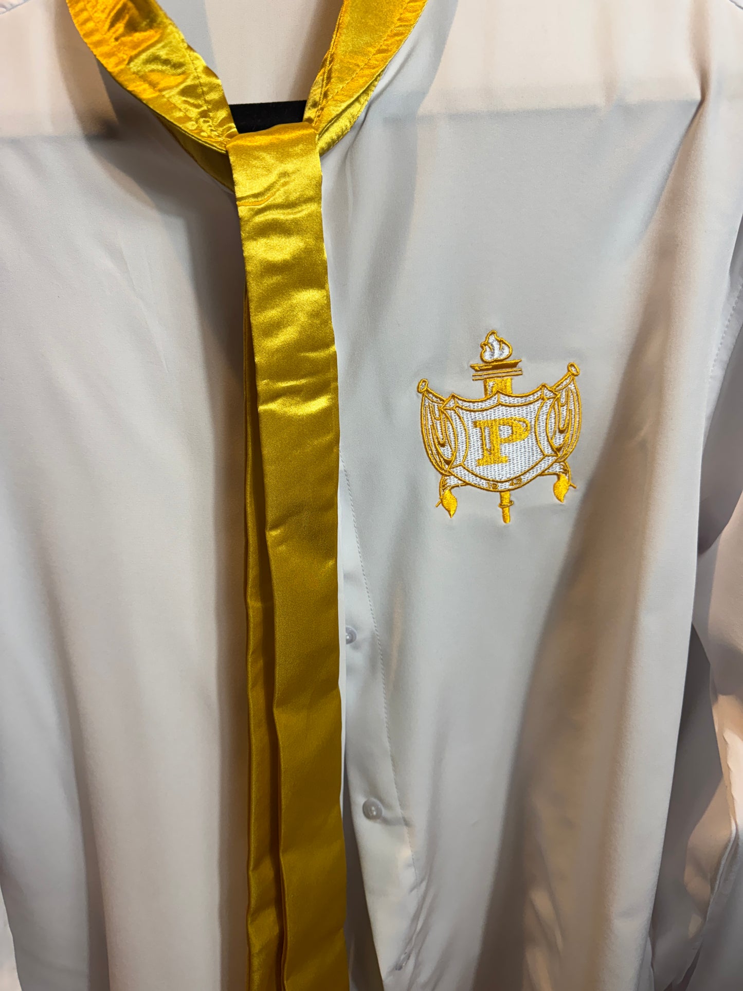 HOT NEW ITEM!!!! Silk Philo Dress Shirt