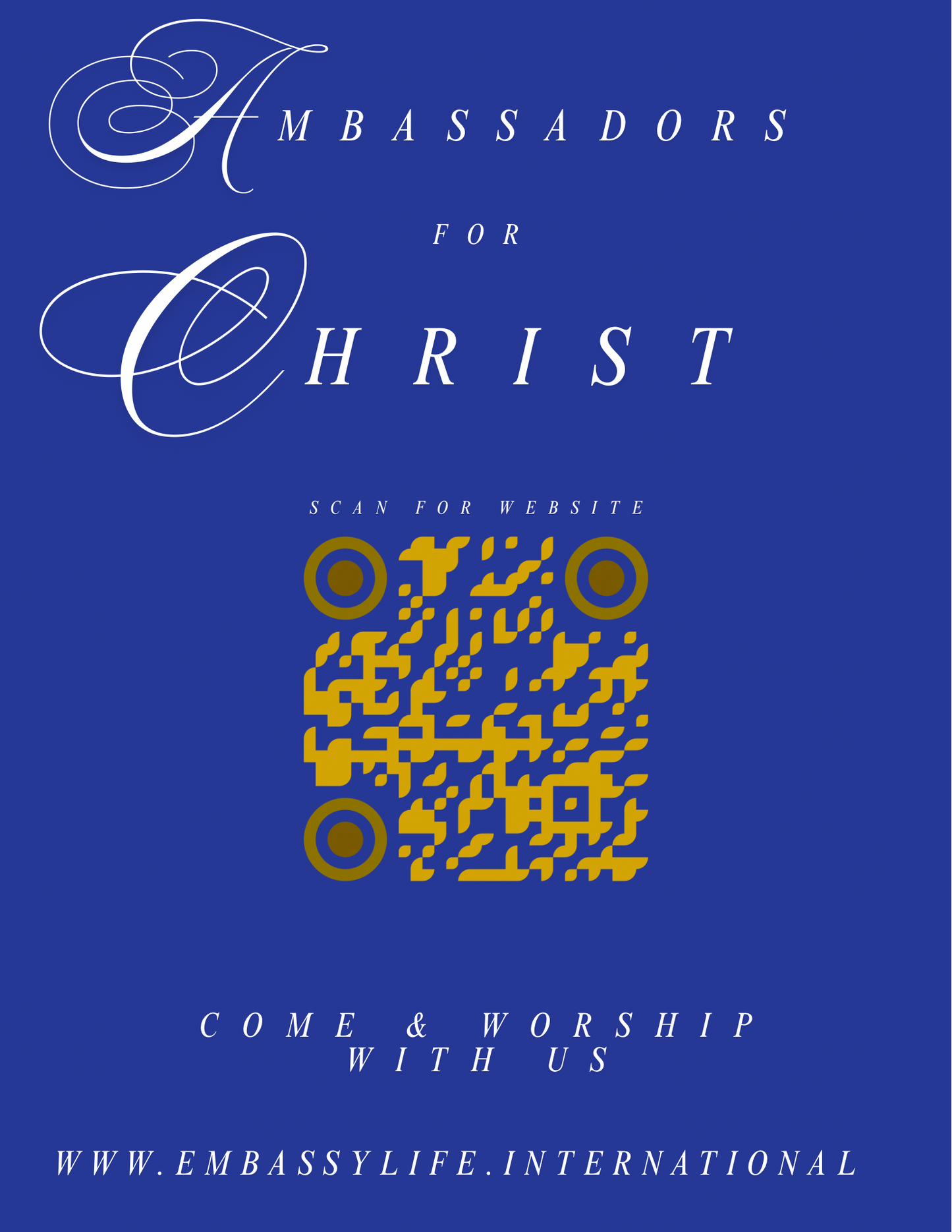 Ambassadors T-shirts