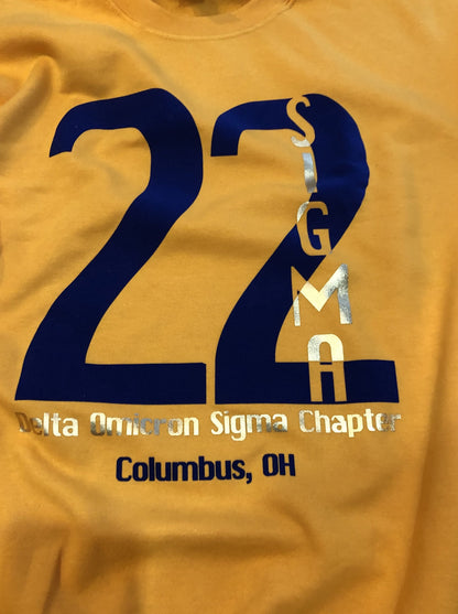Sigma 22 sweatshirt